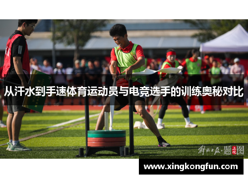 从汗水到手速体育运动员与电竞选手的训练奥秘对比