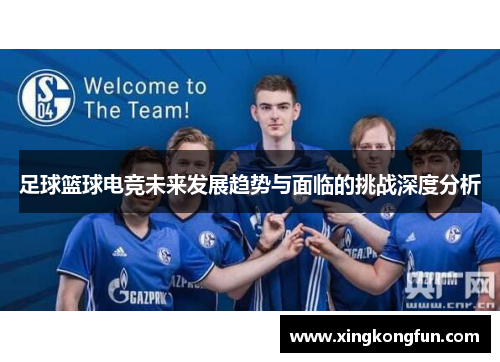 足球篮球电竞未来发展趋势与面临的挑战深度分析