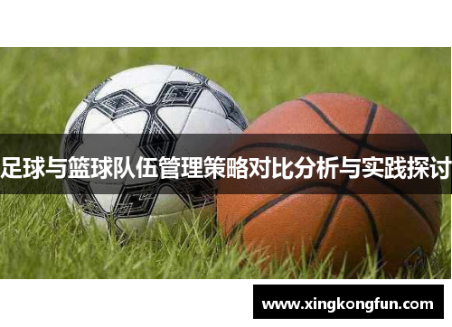 足球与篮球队伍管理策略对比分析与实践探讨