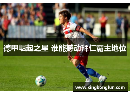 德甲崛起之星 谁能撼动拜仁霸主地位