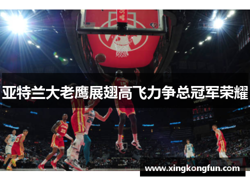 亚特兰大老鹰展翅高飞力争总冠军荣耀
