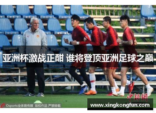 亚洲杯激战正酣 谁将登顶亚洲足球之巅